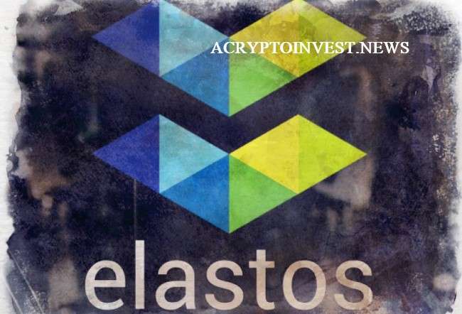 Elastos стал лидером среди 500 крупнейших криптовалют