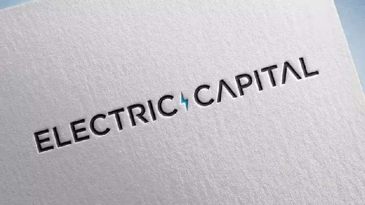 Electric Capital: Количество блокчейн-разработчиков сократилось на 24%