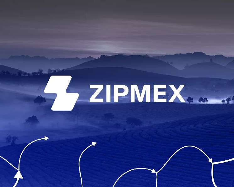 Регулятор Таиланда предписал Zipmex приостановить работу