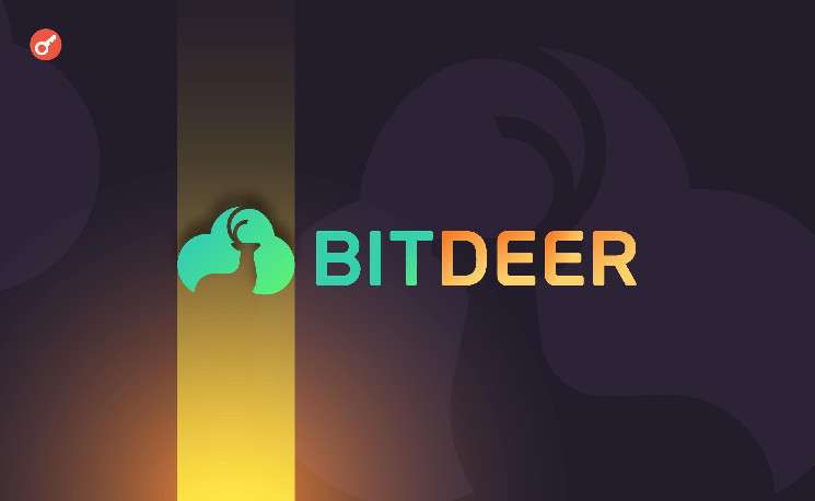 СМИ: биткоин-майнер Bitdeer планирует привлечь $100 млн инвестиций