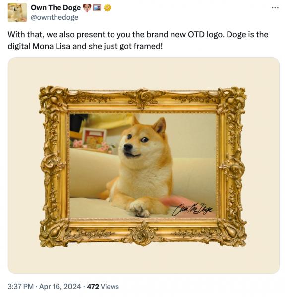 DAO приобретает права на изображение мема Doge