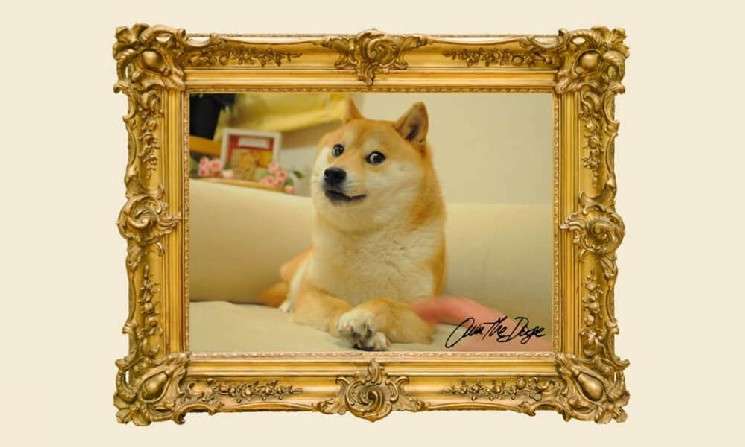 DAO приобретает права на изображение мема Doge