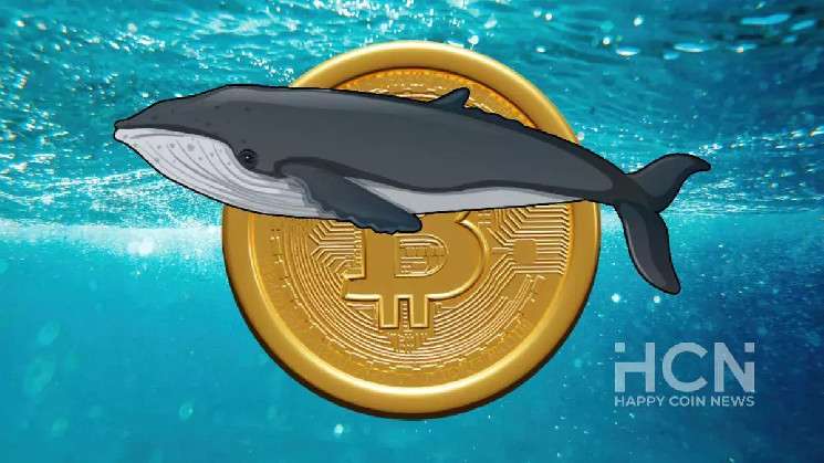 Накопления биткоин-китов укрепляют шансы на рост криптовалюты