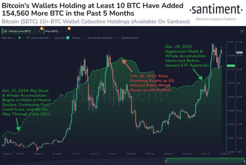 Биткоин (BTC) повторяет паттерны бычьего рынка 2015 года