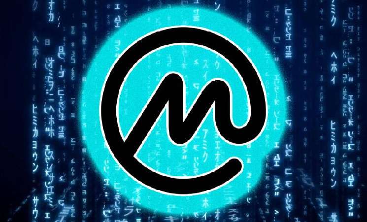 Представители CMC рассказали о мошенниках