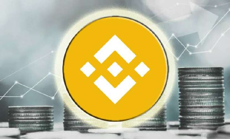 Эксперты оценили результаты стартапов Binance Launchpool