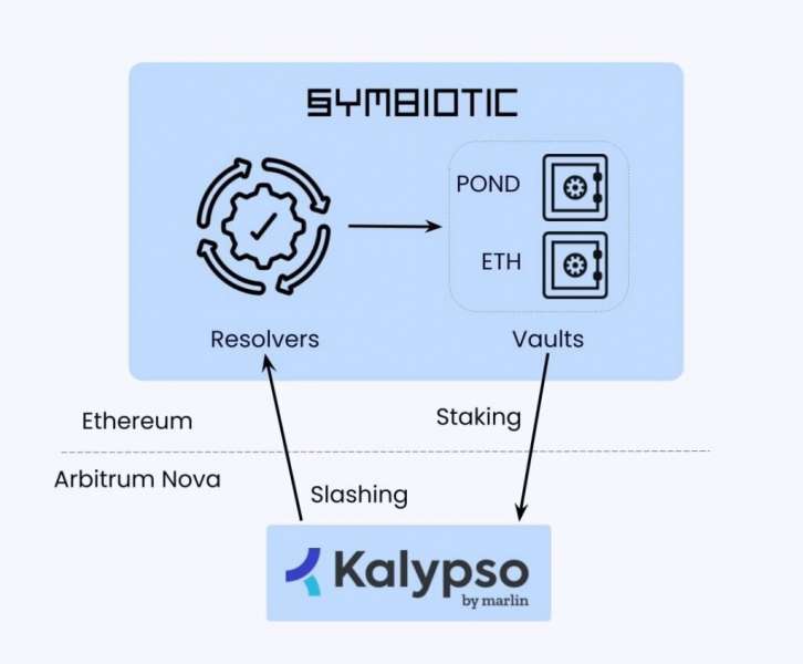 Kalypso объявил о сотрудничестве с Symbiotic