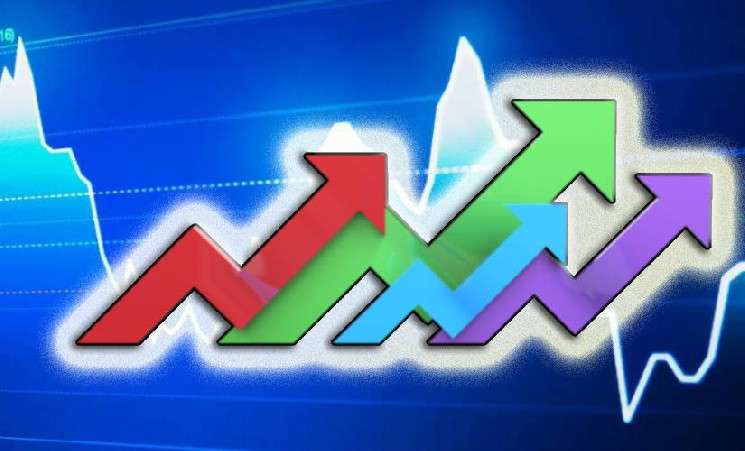 Лишь 4 токена появились на всех 3-х ведущих CEX в 2024 году