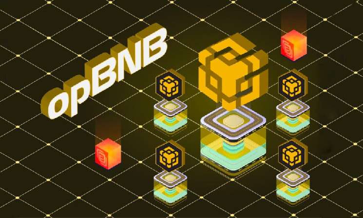 Binance BNB Chain представляет тестовую сеть Layer 2 opBNB на базе Optimism