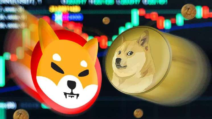 Индекс BitMEX позволяет инвестировать в 10 ведущих токенов-мемов