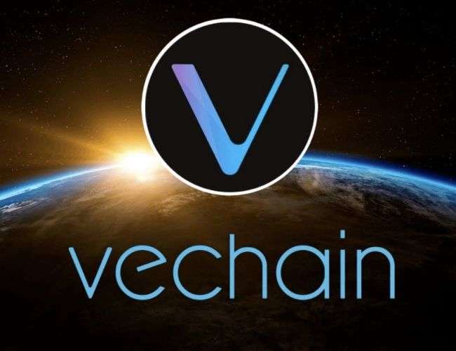 Кошелек VeChain VeWorld добавляет поддержку Apple Pay посредством интеграции Transak