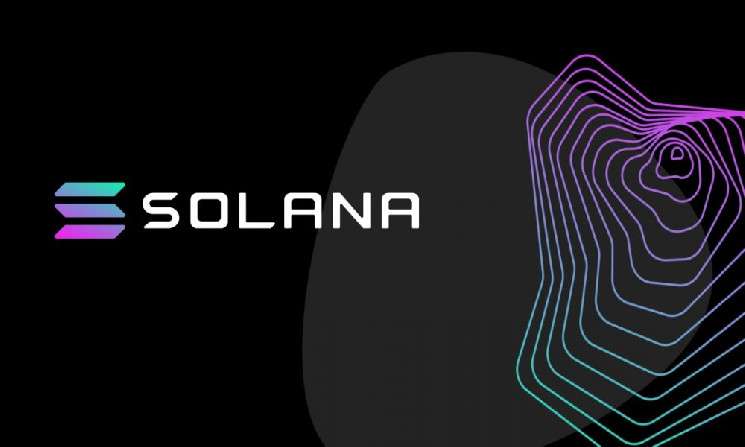 Нигерийский студент вернул 90 ошибочно отправленных токенов Solana