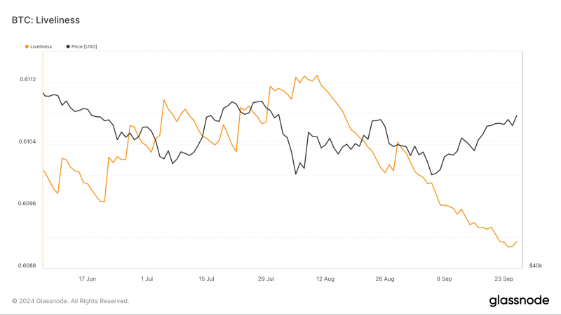 Чего ждать инвесторам от биткоина (BTC) в октябре 2024 года