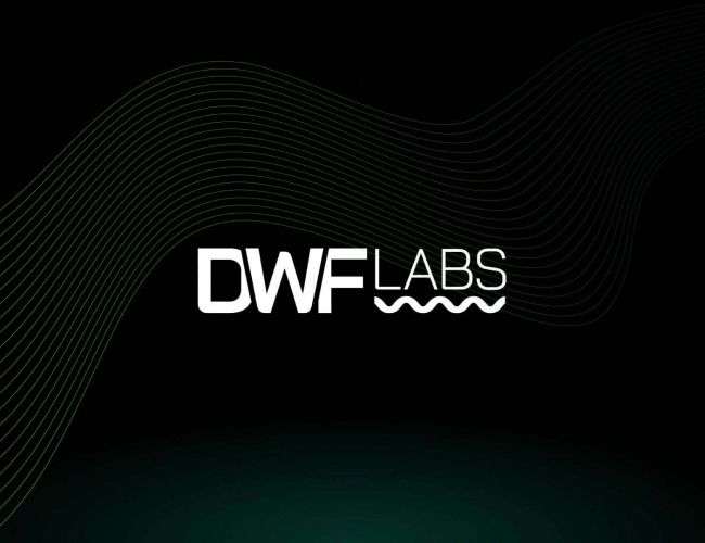 DWF Labs завершил разработку синтетического стейблкоина, обеспеченного биткоином и эфириумом