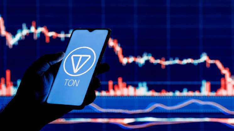 Почти 80% владельцев Toncoin понесли нереализованные убытки