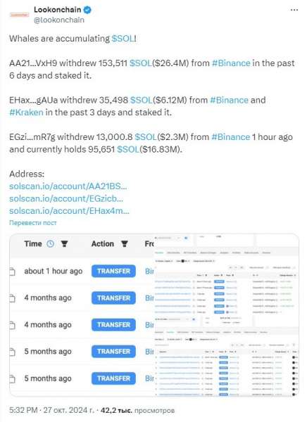 Инвесторы-миллионеры открывают долгосрочные позиции в Solana