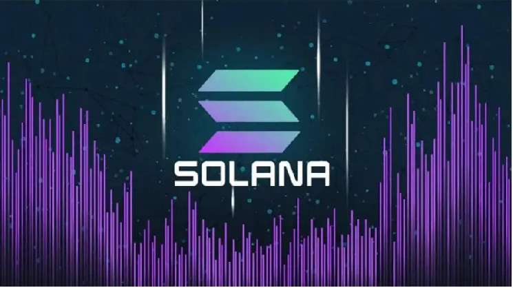 CoinGecko: Solana и Base привлекли больше всего трафика среди блокчейнов