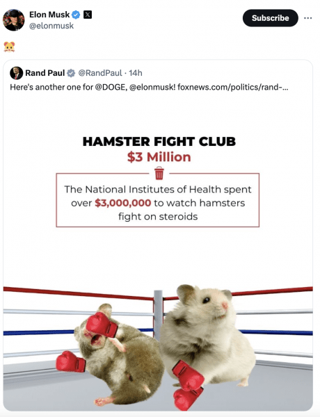 Илон Маск неожиданно запампил Hamster Kombat (HMSTR)