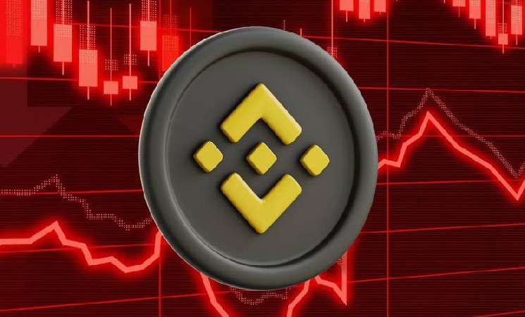 Около 87% токенов на Binance подешевли в 2024 году